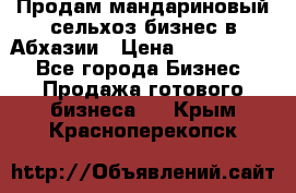 Продам мандариновый сельхоз-бизнес в Абхазии › Цена ­ 1 000 000 - Все города Бизнес » Продажа готового бизнеса   . Крым,Красноперекопск